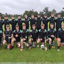 Image result for St Rita`s Camogie Club