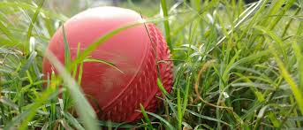 Image result for Warkworth Cricket Club