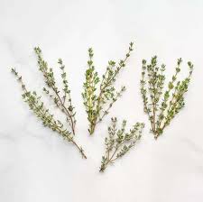 Image result for Thymus vulgaris