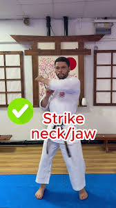 Image result for Zen Shin Seicho Do Adult Karate