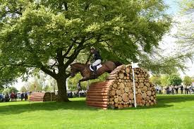 Image result for Ascot Badminton Club