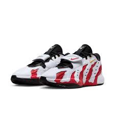 Image result for lebron james shoes