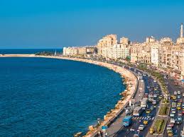 「アレキサンドリア＝パワード」の画像検索結果