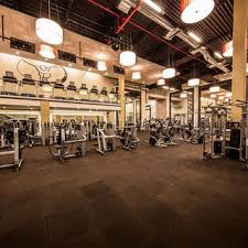 Image result for York University Aerobics Club