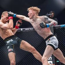 Image result for Junsui Shotokan Karate Do