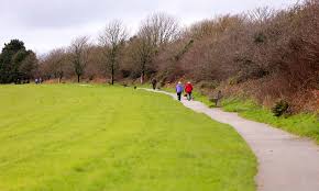 Image result for Haverfordwest Cricket Club