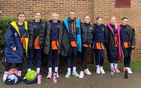 Image result for Hornets Netball Club