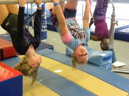 Image result for Newton Abbot Somersaults Gc