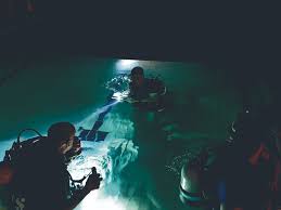 Image result for Stalybridge Snorkel Club