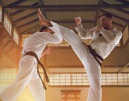 Image result for Caversham Karate Club SSKA