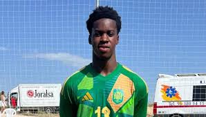 Image result for Darlington Athletic Club