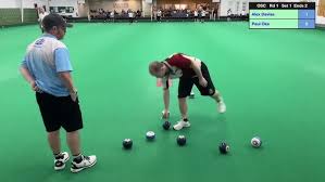 Image result for Bro Ddyfi Indoor Bowls Club