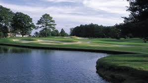 Image result for Lewes Golf Club