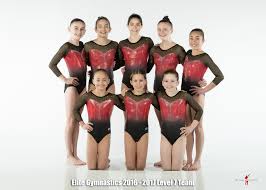 Image result for Elite Recreational Gymnastics Club