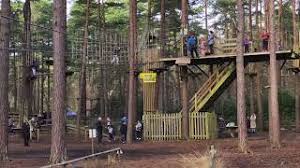 Image result for The Go Ape Experience (Swinley Forest)