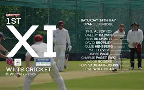 Image result for All Cannings Cricket Club