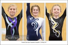 Image result for Fenland Flyers