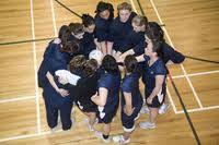 Image result for The Downs Netball Club