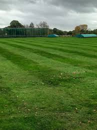 Image result for Forton Cricket Club