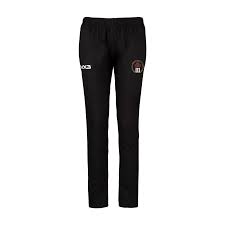 Image result for Minehead Cricket Club