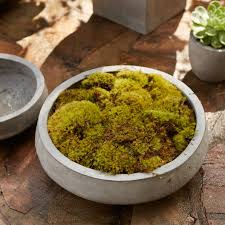 Image result for Newport Indoor Bowls Club