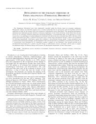 Attēlu rezultāti vaicājumam “Timmia megapolitana”