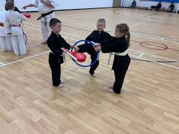 Image result for Junsui Shotokan Karate Do