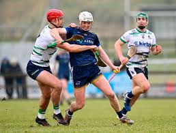 Image result for University Of Limerick Gaa Hurling Club