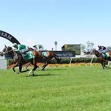 Image result for Liverpool Equestrian Club