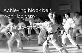 Image result for Nottingham Sankukai Karate
