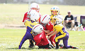 Image result for Eaton Eagles Badminton Club