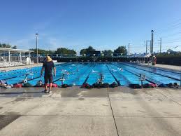 Image result for Swansea Finswimming Club