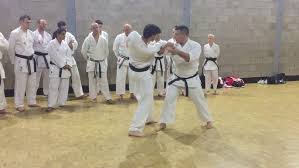 Image result for Kyomeikai Karate Club