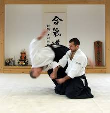 Image result for Ellis Schools of Traditional Aikido