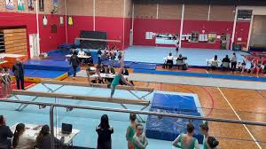 Image result for Loughton Gymnastics Club