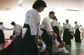 Image result for Ki Aikido (Epsom Ki Aikido