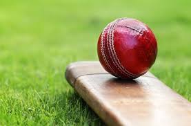 Image result for Podington Cricket Club