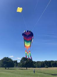 Image result for Midlands Kite Fliers