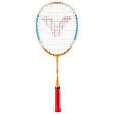 Image result for Racqueteers Junior Badminton Club