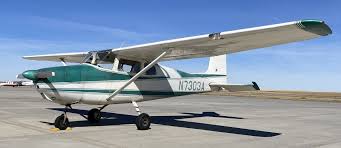 Image result for Dinas Microlight Club