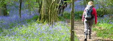 Image result for Mid Surrey Ramblers