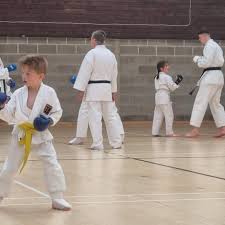 Image result for Dumfries Wado Ryu  Karate club