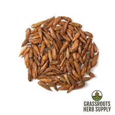 Attēlu rezultāti vaicājumam “Populus x gileadensis”