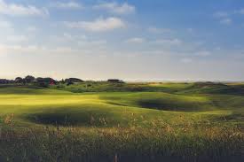 Image result for Cinque Ports Rugby Football Club