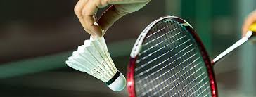 Image result for Cardinals Badminton Club