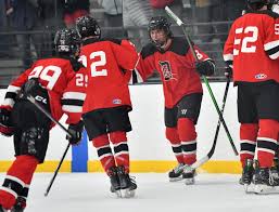 Image result for Demons Skater Hockey Club
