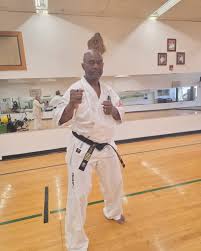 Image result for Ji Shin Do Karate