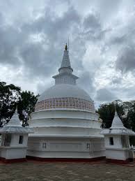 Image result for Buddha Maligavilla Srilanka