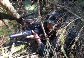 Image result for Laser Mayhem