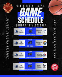 Image result for Kingston Wildcats Basketball Club